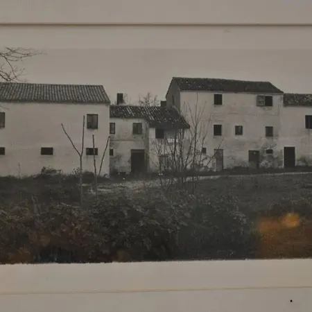 Country House In Parco Del Conero Apartmán *