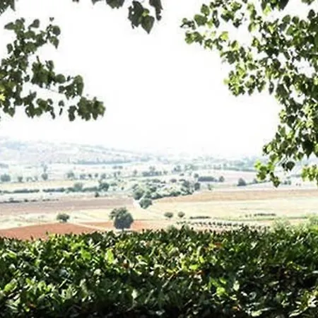 Country House In Parco Del Conero Lägenhet