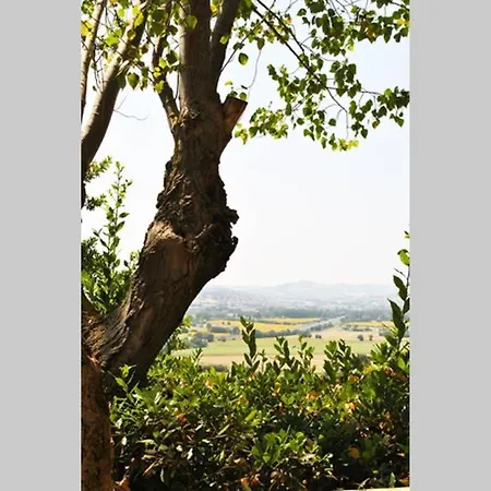 Country House In Parco Del Conero *